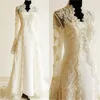 Champagne Lace Appliqued Plus Size Lace Beaded Long Sleeves Bridal Wedding Jackets Bolero Cape Wraps Shrug 2018