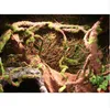 120 cm Reptiles Boîte Réservoir Vigne Grimpeur Jungle Forêt Courbure Branche Artificielle Terrarium Cage Décoration Reptiles Habitat Ornement