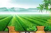 Papel de Parede Woods Landschap 3D Wallpaper Moderne TV achtergrond Muurschildering