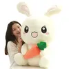 Mignon lapin en peluche oreiller poupée géant dessin animé carotte lapin jouets oreiller de couchage pour fille cadeau d'anniversaire décoration 85 cm 120 cm DY52338041