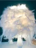 Kvalitet 110v220v Whitepink Feather Lampshade Wood Base Night Lights Lamp Decoration bordslampor sovrum bredvid belysning3506063