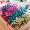 Bouquet di stelle in stile coreano, confezione regalo di fiori secchi, bouquet di nontiscordardime per San Valentino, fidanzate, regalo di laurea di compleanno