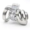 Stainless Steel Male Short Cock Cage Devices Detachable PA Lock Substitutable Nail Penis Ring Bondage Restraint Sex Toys For Me9078855
