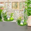 Vaso de vidro suspenso criativo, 8 cm, suculentas, exibição de plantas de ar, garrafa suspensa de carne, decoração de casamento, suprimentos 6856737