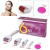 Neueste DRS Dermaroller 6 in 1 Titan Derma Roller Narbe Gesichtsbürste Mikronadel Therapie Hautpflege Anti-Aging Kit