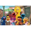 Elmo World 참깨 스트리트 사진을위한 생일 배경 아기 어린이 만화 파티 테마 사진 부스 배경 맞춤