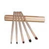 Set di pennelli per trucco 5 pezzi Pennello cosmetico per viso Strumenti per trucco per principianti Ombretto Sopracciglio Labbra Pennello per eyeliner con tubo in ferro colorato5977255