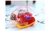 New Fun Mini Winding Transparent Small Aircraft Spring Toys Classics Outdoor Clockwork Aircraft Wind Up Toys Gift