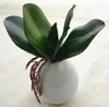 yapay phalaenopsis orkide