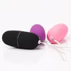 Date Portable Étanche Sans Fil Vibrant Saut Oeuf Télécommande Bullet Vibrateur Sex Toys pour Femmes J2324