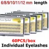 6-12 mm dik 60 pc's/doos valse wimper wimpers natuurlijke krullen individuele wimpers make-up wimperverlenging dhl gratis es