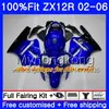 Injektion för Kawasaki ZX1200 ZX 12R 2002 2003 2004 2005 2006 224HM.29 ZX-12R 12 R 1200cc ZX12R 02 03 04 05 06 Glansig grön fairing