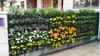 Taschen-Blumentopf-Pflanzer auf dem Wandbehang-Vertikale-Filz-Gartenpflanze-Dekor-Grün-Feld wachsen die im Freien Behälter-Taschen