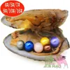 Mussel Shell Freshwater Oyster 6-7mm Natural Real Wish Pearl Beads 6pcs Pearl of Different Colors Made in Oyster Shell Jewelery