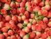 Artificial flowers DIY materials rose flowers small rose flower head rose wedding decorations soft studio props GA78