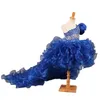 シックな高い低ローワンショルダーガールズポジアンのドレスの飾りと飾るラインストーンビーズクリスタルフリルオーガンザリトルガール子供の赤ちゃんのドレス
