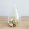 Teardrop Glass Hanging Plant Terrarium Clear Glass balls Container Glass Candle Holder for Home Decoration Wedding Decoration