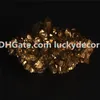 35mm-50mm Dimensioni casuali Formiglie Freeform Tips rotto Gold Titanium Coated Crystal Cluster Quarzo Drusy Geode Gemstone Collezione Collezione Specien Display 1pc