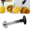 Rostfritt stål ananas peeler cutter skivor corer peel core verktyg frukt vegetabilisk kniv gadget kök spiralizer 30pcs