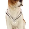 high fashion dog collars
