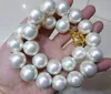 Llrare enorm 16mm White South Sea Shell Pearl Necklace 18 295J