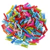 100pcs / lot Mini Clips en bois de printemps Pinces à linge en bois coloré Artisanat Pegs Hanging Vêtements Papier Photo Papier Peg Pin DIY clips 12bag T1I974