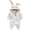 Meninos recém-nascidos meninas bebê macacão orelhas de coelho recém-nascido onesies vestuário zíper com capuz toddler romper bodysuit boutique jumpsuits roupas