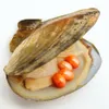 Wholesale freshwater natural pearl oysters, triangular oysters with 4pcs 6-8mm #2 orange oval pearls vacuum packaging