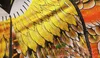 Free Shipping High Quality 1.8m Golden Eagle Bird Kite With Handle Line Outdoor Games Flying