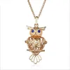 Big Owl Pearl Tillbehör Disffuser Delfiner Halsband Locket Essential Oljediffusor Halsband Holla ut Locket Cage Hängsmycke Halsband