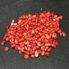 DingSheng Natural Red Coral Cascalho De Cristal De Jade Quartzo Caído Pedra Minerais Do Oceano Chips Para O Presente Deco