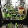 Grow Lights Reflective Mylar Waterproof Grow Tent Green Plant Room med obeservationsfönster och golvbricka för inomhusblommor Frukter växer