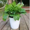 Eco-vriendelijke zelf-waterige plant bloem pot muur opknoping plastic planter huis tuin gereedschap Praktische plant bloem potten