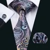 رواية TIE MENS Paisley Tie Designer Tie و Bowtie Silk المنسوجة مع Handkerc