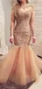 Illusion Długie rękawy Suknie wieczorowe Sexy Sheer Deckline Lace Aplikacje Mermaid Prom Dress Long Tulle Zipper Powrót Formalne Party Suknie