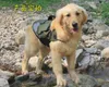 Cão do inverno Coats Jacket Waterproof Harness roupas de caça roupa morna Skiwear para Pequenas e Médias Grandes Animais de estimação - para escalada ao ar livre Montanha