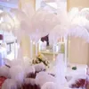 18-20 pouces (45-50 cm) plumes d'autruche blanches plumes pièce maîtresse décoration de fête pour décor d'événement de mariage décoration festive