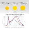 CREE CXB3590 COB LED HORS светлый спектр 200 Вт Гражданин Светодиодный завод Выращите лампу для внутренних теплиц Гидропонный завод
