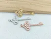 5 Pcs Tiny CZ crystal key shaped Charm,CZ zircon Stone Micro pave Pendant,women Jewelry Finding DIY necklace making PD815