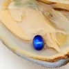 Oval Oyster Pearl 2018 Ny 6-8mm # 9 Mörkblå Färskvatten Naturlig Pärla Gift Bulk Dekoration Vakuum Förpackning Partihandel Gratis Frakt