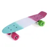 22 inch Colorful Four-wheel Long Skateboard PP Plastic Board Deck Newest Style Four Wheels Kids Favorite Skateboard for Sale