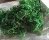 자연 50G-100G 가방 건조 진짜 녹색 이끼 장식 식물 꽃병 인공 잔디 실크 꽃 액세서리 화분 장식