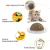Natürliche Katzenminze Spielzeug für Katzen Verrückte gesunde Katze Spielzeug für Kätzchen essbare Behandlung Reinigungszähne Katze Zubehör Pet Toy Pet Products