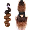 Paquets brésiliens de cheveux de vague de corps brun foncé d'ombre avec la fermeture de dentelle colorée 430 tissages de cheveux humains d'ombre avec la fermeture de dentelle 4X46995585