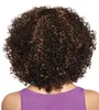 Afro Kinky Short Curly Hair Wig 4 Colors Women Black Brown Wigs Simulation Human Full Synthetic Lace Hairs