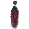 Kinky Curly 4 Bundles T 1B 99J Ombre Dark Wine Czerwony kolor dwa ton