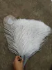 Mooie Plastic Peacock Feather Imitatie Witte Fazant Veren Kerst vakantie bruiloft party Home Vaas decoratie 50pcs / lot