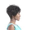 Cheveux humains perruques courtes bouclés pour les femmes noires pas cher pleine dentelle brésilienne Pixie Cut indien cheveux humains 100% perruques de cheveux humains nouvelles perruques