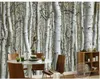 Wallpapers wall mural photo wallpaper Atmospheric birch tree forest shocked 3D TV background wall