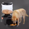 Plastik 5.5L Sesli Mesaj Kaydı ve LCD Ekran ile Otomatik Pet Besleyici Büyük Akıllı Köpekler Kediler Gıda Kase Dağıtıcı DHL Ücretsiz Kargo